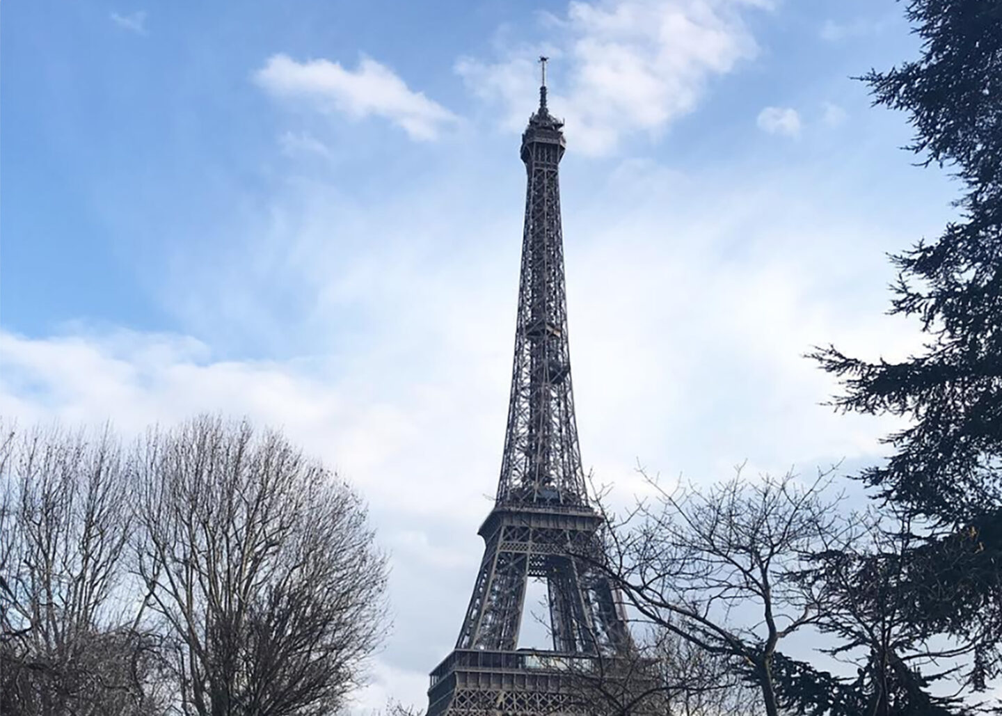 Parisian Lessons I Didn’t Know I Needed