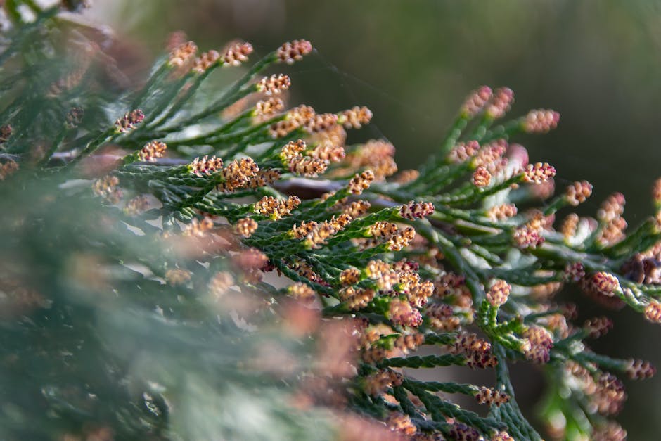 Handbag Body Type Guide: Matching Proportions to Your Frame